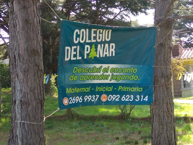 Opiniones de Colegio del Pinar en Canelones - Escuela