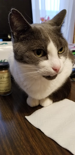 Pet Supply Store «Pet Valu», reviews and photos, 27246 Lorain Rd, North Olmsted, OH 44070, USA