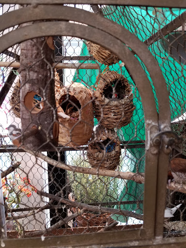 Gift Shop «The Wrinkled Egg», reviews and photos, 2710 NC-225, Flat Rock, NC 28731, USA