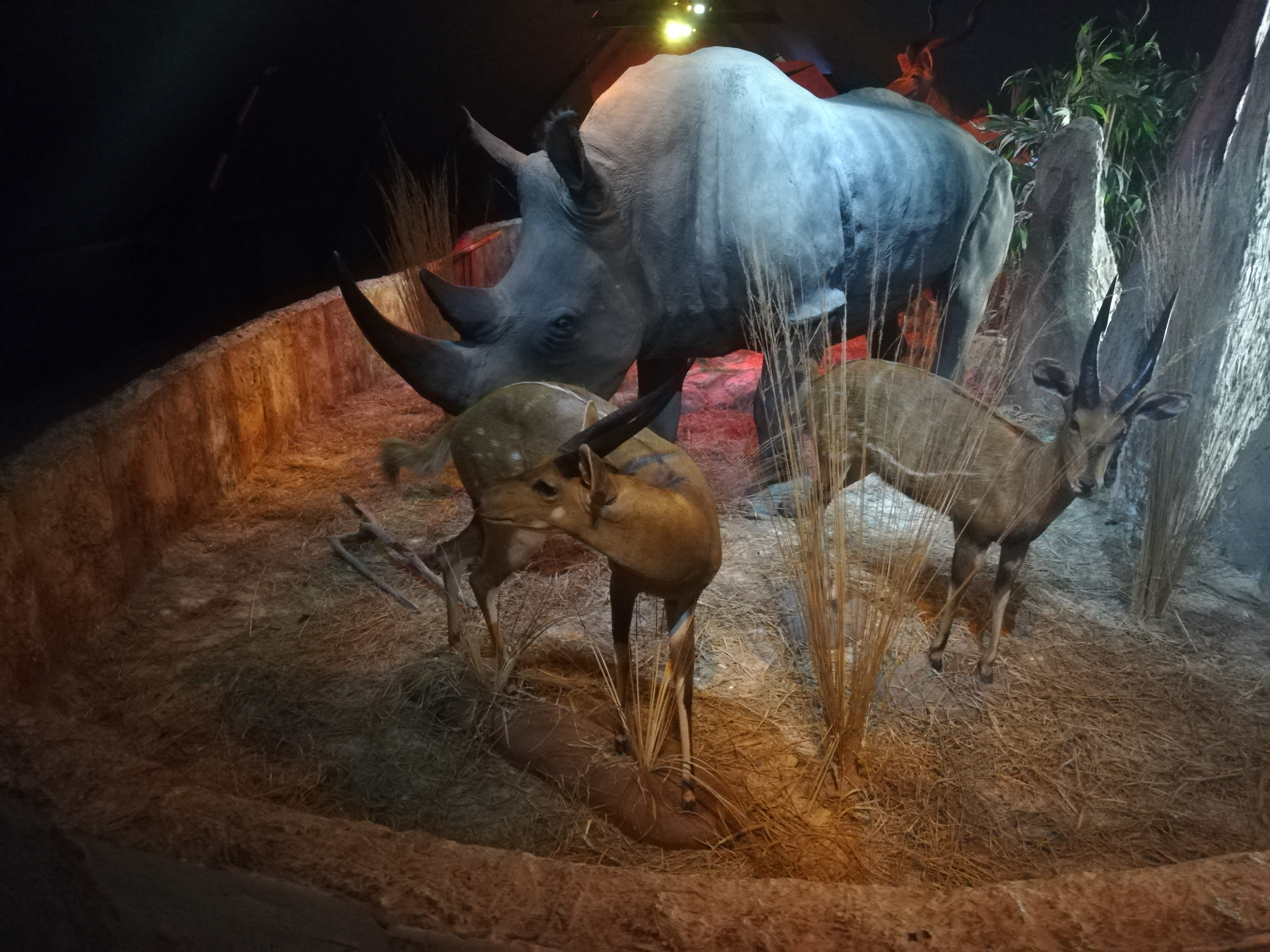 Photo n° 32 de l'avis de Soleil. fait le 20/08/2020 à 12:36