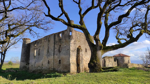 Château de Montfa à Montfa