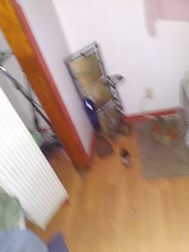 Hardware Store «Vision Ace Hardware», reviews and photos, 8538 Gunn Hwy #10, Odessa, FL 33556, USA