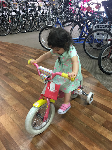 Bicycle Store «Ride N Roll Cyclery», reviews and photos, 6572 Seminole Blvd, Seminole, FL 33772, USA