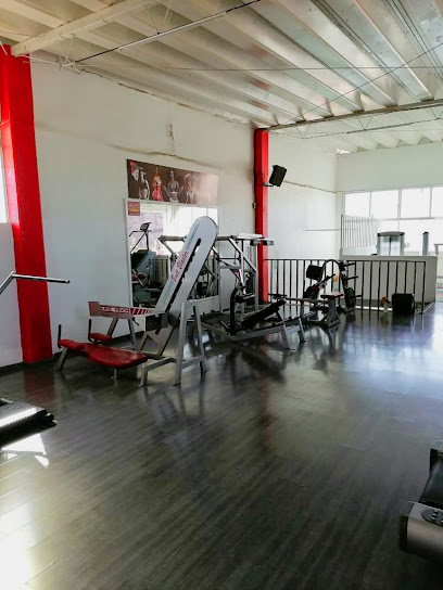 Thor Gym & Fitness - Av. Morelos Sur 899, Ventura Puente, 58020 Morelia, Mich., Mexico