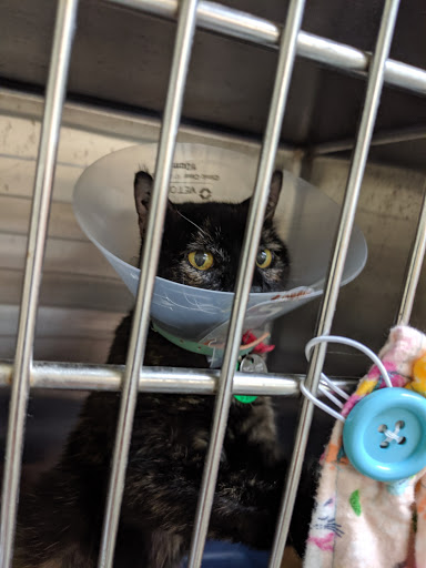 Grocery Store «North Shore Farms», reviews and photos, 770 Port Washington Blvd, Port Washington, NY 11050, USA