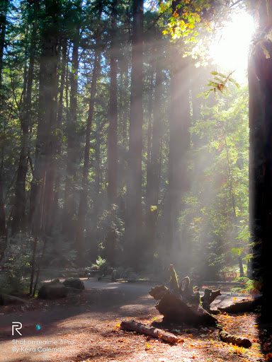 Nature Preserve «LandPaths Grove of Old Trees», reviews and photos, 17599 Fitzpatrick Ln, Occidental, CA 95465, USA