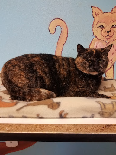 Animal Shelter «BrightSide Animal Center (formerly Humane Society of Redmond)», reviews and photos