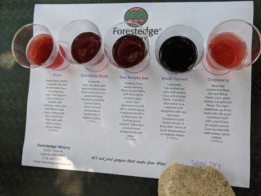 Winery «Forestedge Winery», reviews and photos, 35295 MN-64, Laporte, MN 56461, USA