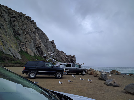 Coffee Shop «Great Bear Coffee», reviews and photos, 19 N Santa Cruz Ave, Los Gatos, CA 95030, USA