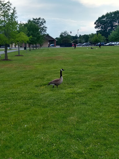 Park «Yukich Field», reviews and photos, 8900 S Kedzie Ave, Evergreen Park, IL 60805, USA