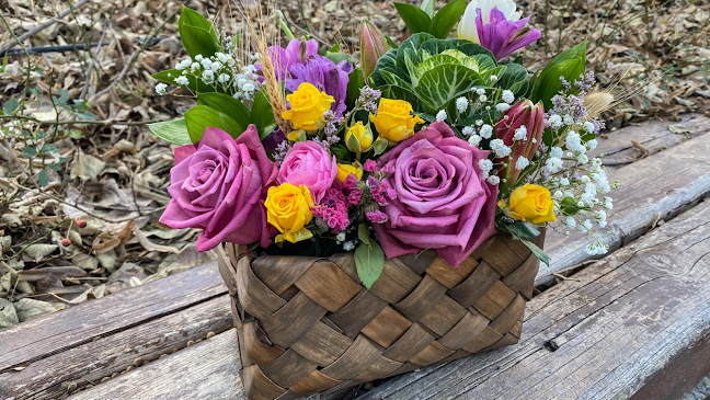 Bezistena, Ямбол Център, 8600 Ямбол