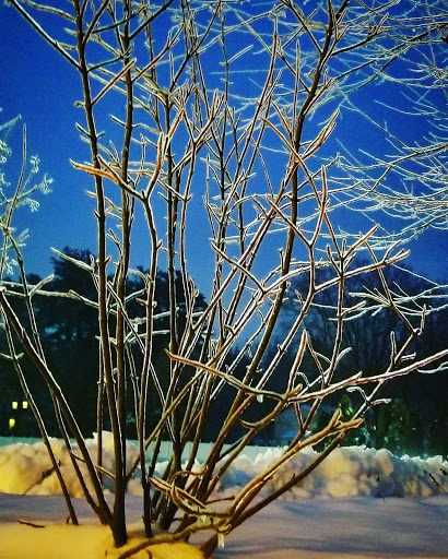 Wedding Venue «Lakeview Pavilion», reviews and photos, 45 Lakeview Rd, Foxborough, MA 02035, USA