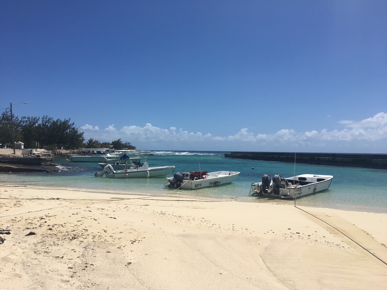 Balfour Town beach'in fotoğrafı imkanlar alanı