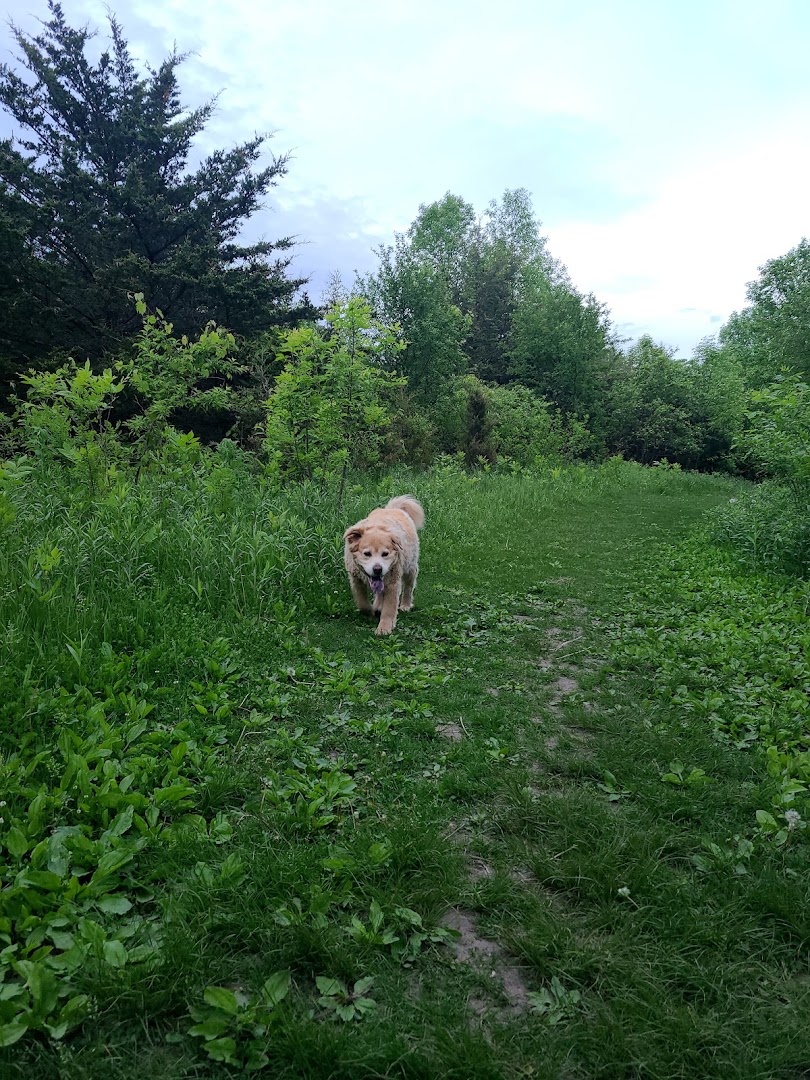 Lake Sarah Dog Park