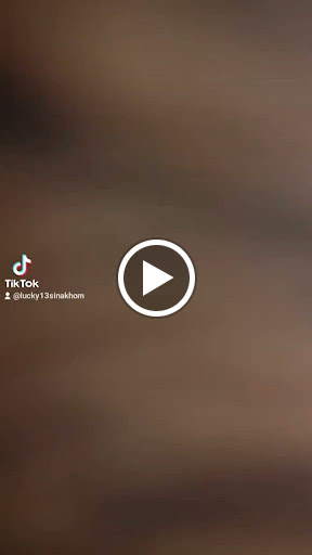 Explore baltimore ravens tattoo ideas, creative tattoo ideas in Willow Grove, available at Tattoo GalaxyWillow Grove Piercing & Tattoos