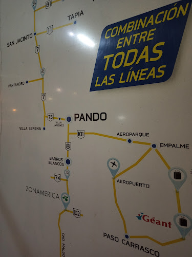 Agencia Tala Pando - Servicio de transporte