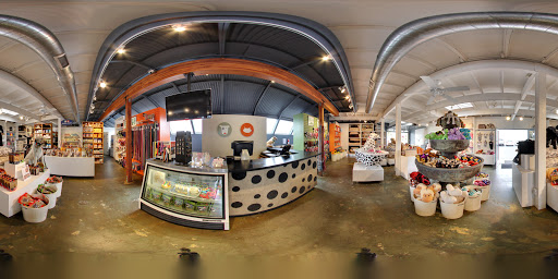 Pet Supply Store «Muttropolis Solana Beach», reviews and photos, 227 S Cedros Ave, Solana Beach, CA 92075, USA