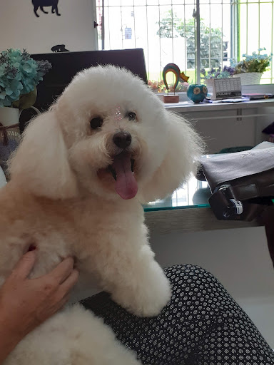 Mysticão em São Paulo - SP