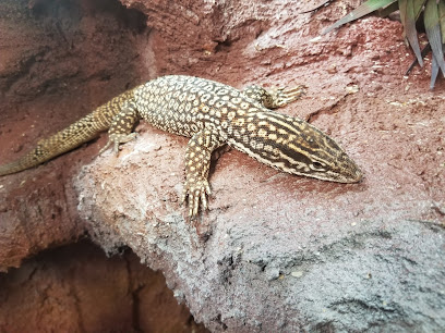 Armadale Reptile & Wildlife Centre