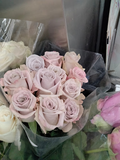 Grocery Store «Presidente Supermarket», reviews and photos, 3108 S University Dr, Miramar, FL 33025, USA