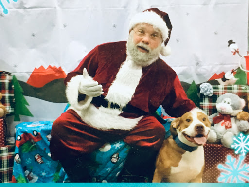 Craft Store «Michaels», reviews and photos, 9649 W Colonial Dr, Ocoee, FL 34761, USA