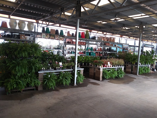 Home Improvement Store «The Home Depot», reviews and photos, 100 Abner Jackson Pkwy, Lake Jackson, TX 77566, USA