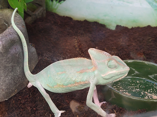 Pet Supply Store «Petco Animal Supplies», reviews and photos, 10 Sylvan St, Peabody, MA 01960, USA