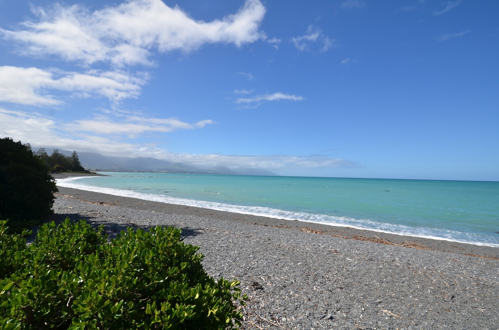 Photo of Kaikoura Beach with very clean level of cleanliness