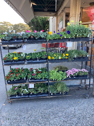 Hardware Store «Salinas Ace Hardware», reviews and photos, 1215 S Main St, Salinas, CA 93901, USA