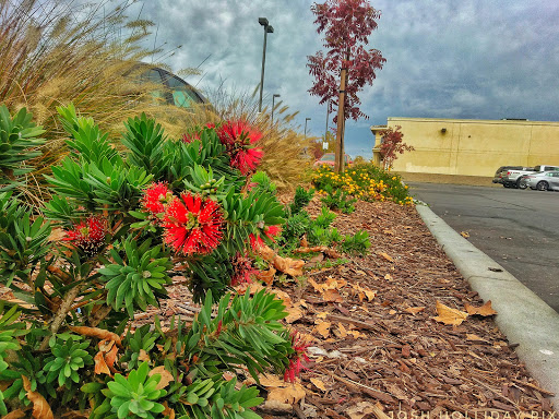 Car Repair and Maintenance «Midas», reviews and photos, 853 Jefferson Blvd, West Sacramento, CA 95691, USA