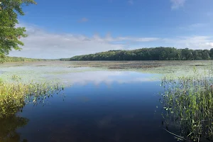 James L. Goodwin State Forest image