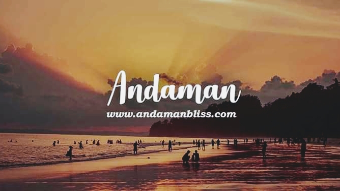 Andaman Bliss Tours and Travels