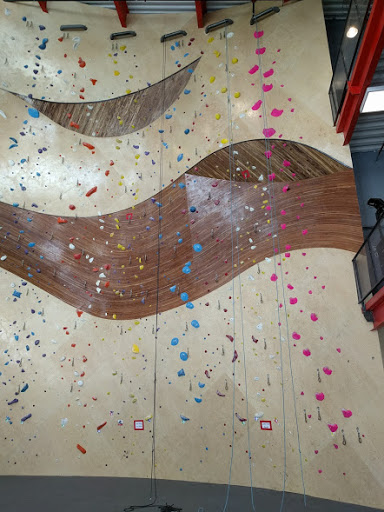 Health Club «The Front Climbing Club», reviews and photos, 1470 400 W, Salt Lake City, UT 84115, USA