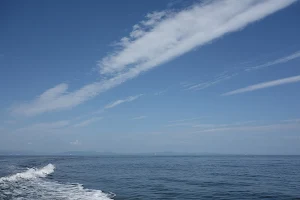 Ishinomaki Bay image