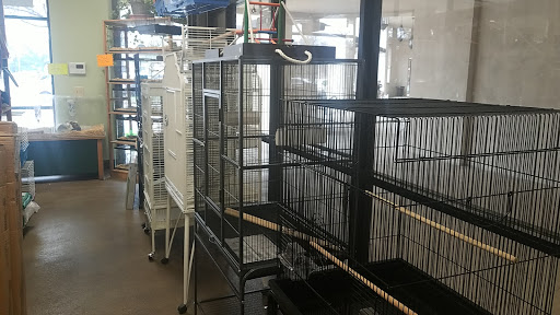 Pet Store «Pet Works», reviews and photos, 999 E Basse Rd #129, San Antonio, TX 78209, USA