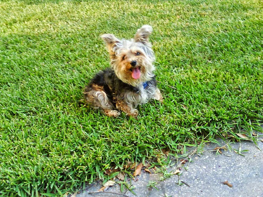 Pet Supply Store «Petco Animal Supplies», reviews and photos, 7303 Pinnacle Pkwy, Covington, LA 70433, USA