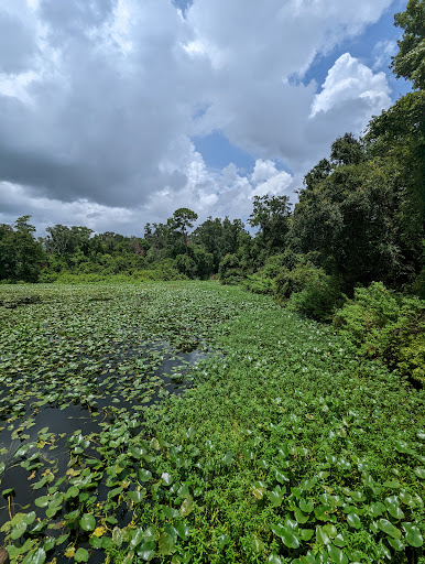 Park «Moccasin Lake Nature Park», reviews and photos, 2750 Park Trail Ln, Clearwater, FL 33759, USA