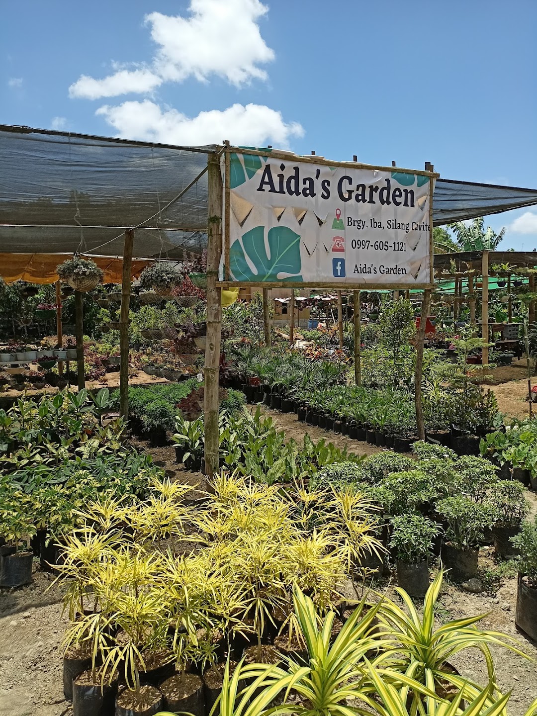 Aidas garden