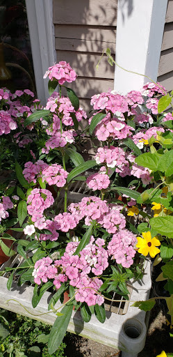 Florist «Colonial Gardens Full Service Florist & Garden Center», reviews and photos, 442 Fitchburg Turnpike, Concord, MA 01742, USA