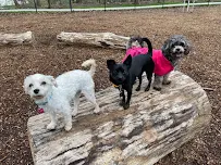 Paws and Pages Pet Care LLC - Car repair in , Grand Rapids - Rated 0.0/5