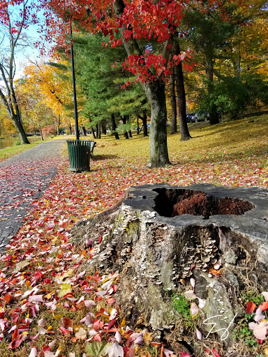 Park «Grover Cleveland Park», reviews and photos, Brookside Ave & Runnymede Rd, Essex Fells, NJ 07021, USA