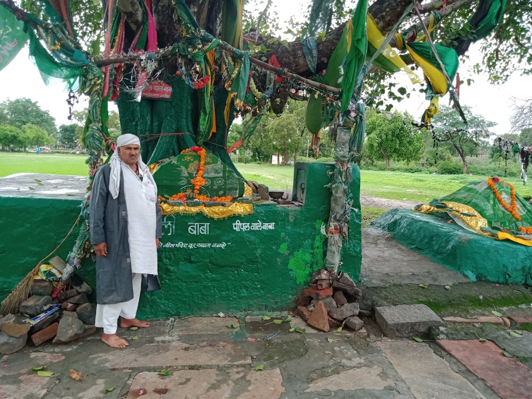 या वारिस पीपल वाले बाबा कालीदिया महाल