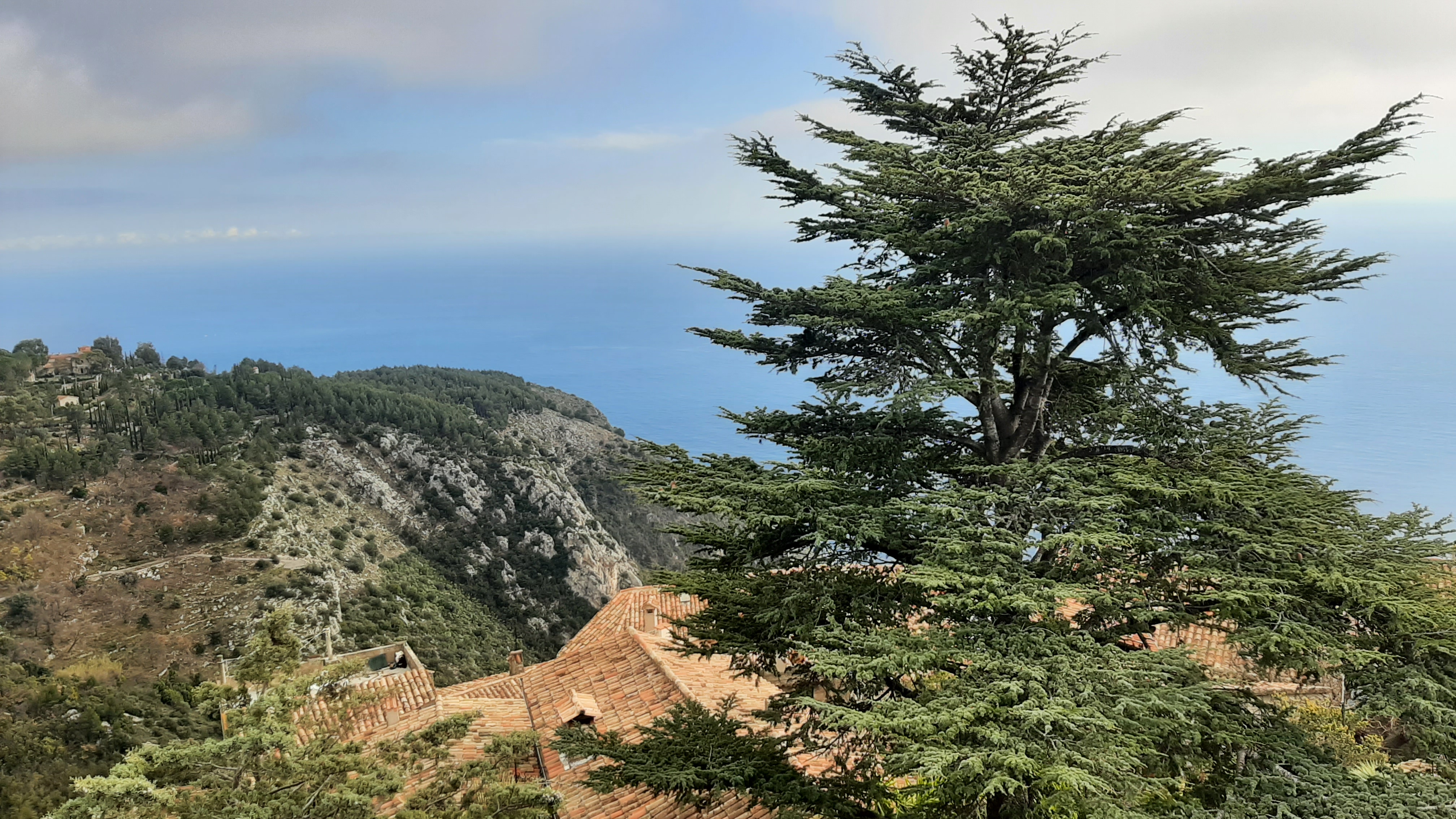 Photo n° 13 de l'avis de Rene.e fait le 18/02/2022 à 15:37