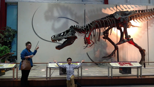 Movie Theater «Chrysler IMAX® Dome Theatre at the Michigan Science Center», reviews and photos, 5020 John R St, Detroit, MI 48202, USA