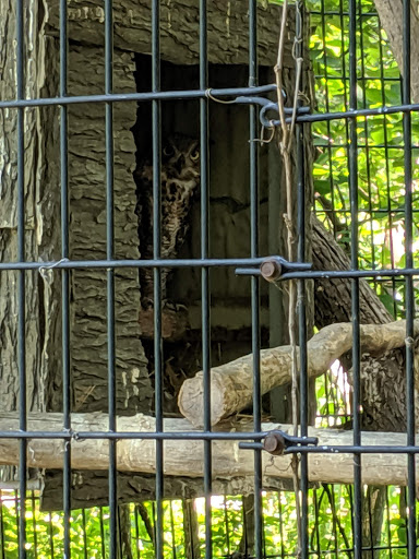 Nature Preserve «The Grove», reviews and photos, 1421 Milwaukee Ave, Glenview, IL 60025, USA