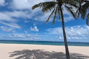 Ft Lauderdale Beach (Playa las Olas) image