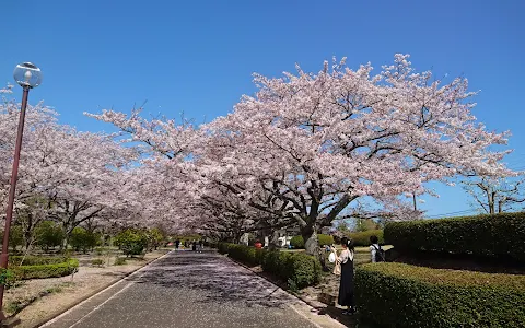 Ohatakaizuka Park image