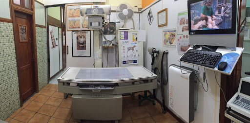 Clínica Veterinaria San José