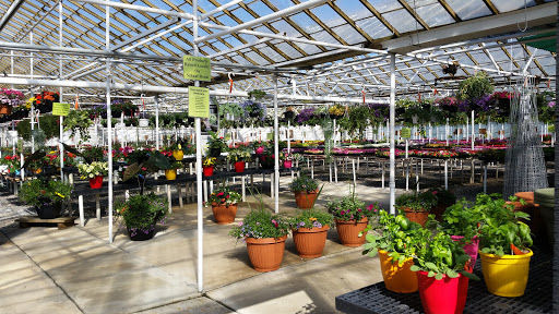 Hardware Store «South Hills Hardware», reviews and photos, 224 Old Brookpark Rd, Cleveland, OH 44109, USA