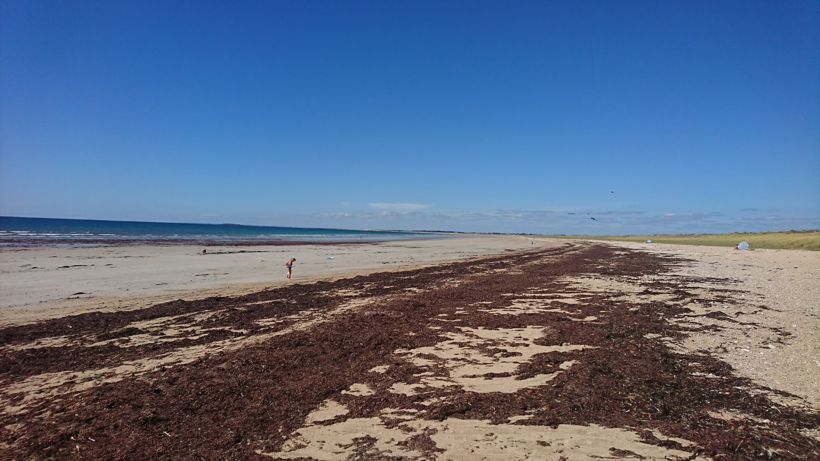 Beach Mane Guen'in fotoğrafı - rahatlamayı sevenler arasında popüler bir yer